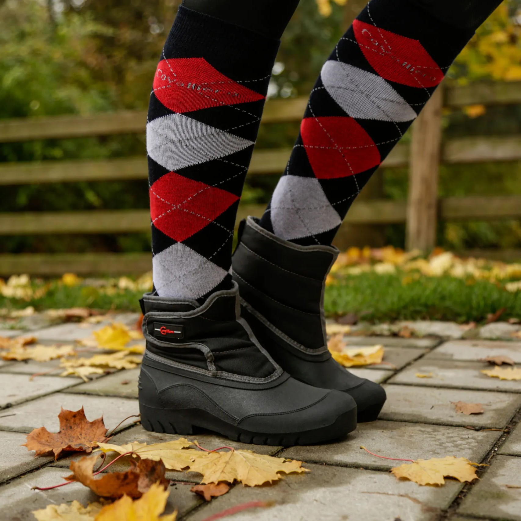 Kategoriebild Stiefel
