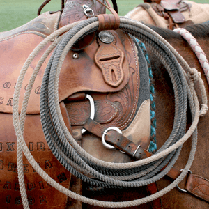 Platzhalerbild mit Brama West Logo