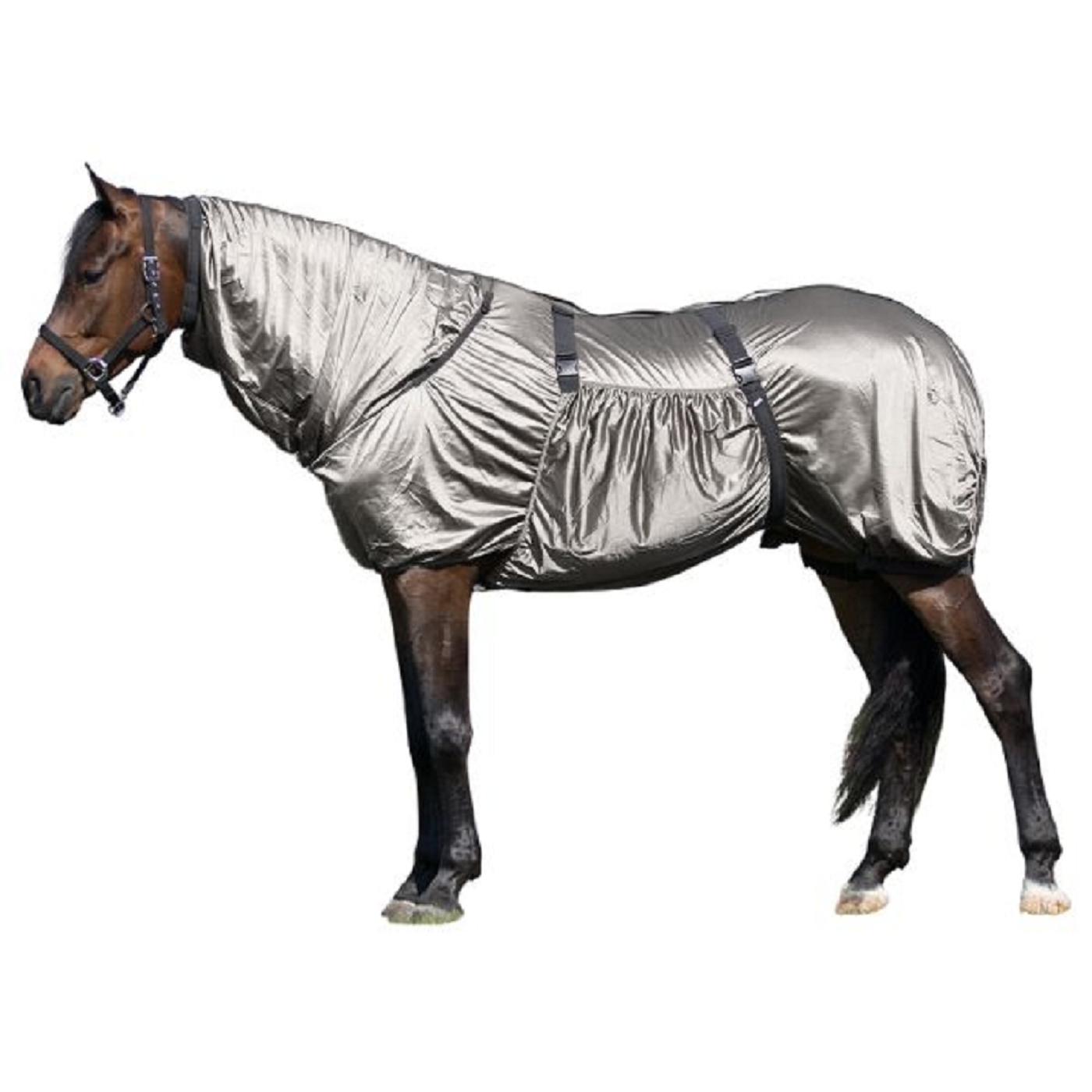 Ekzemerdecke - Kopie