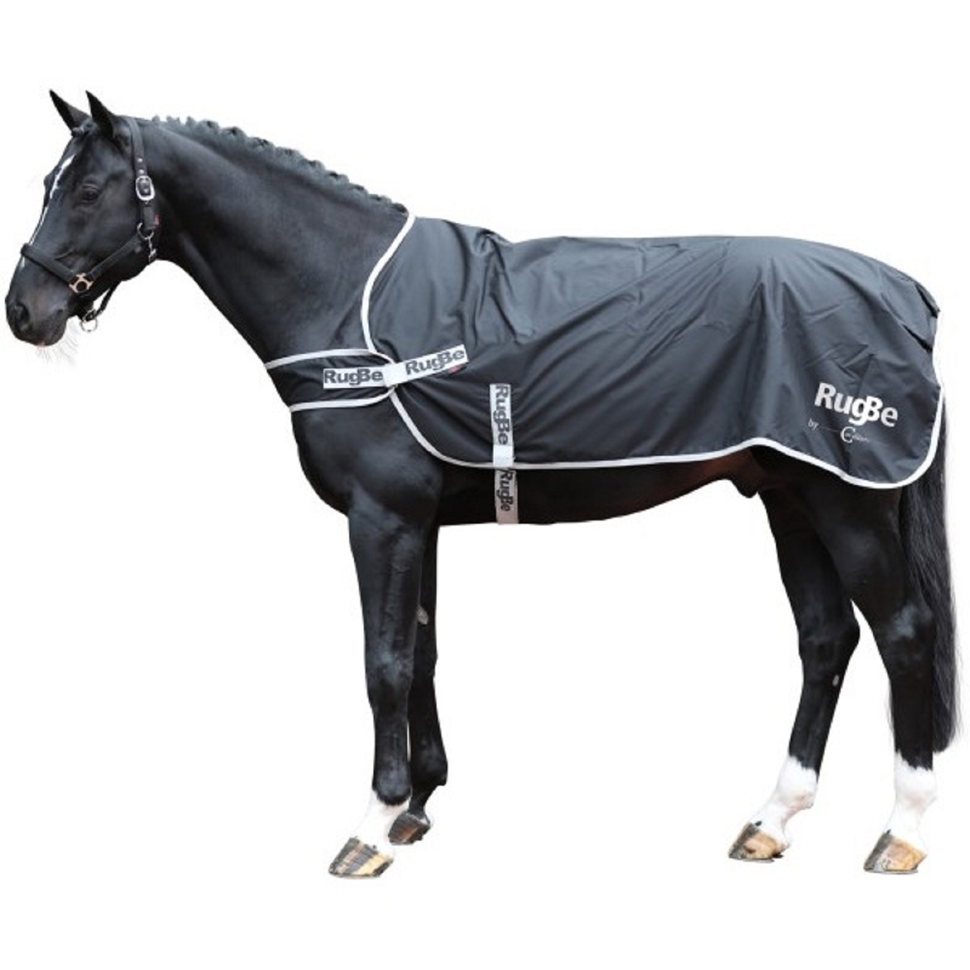 Führanlagendecke - Kopie