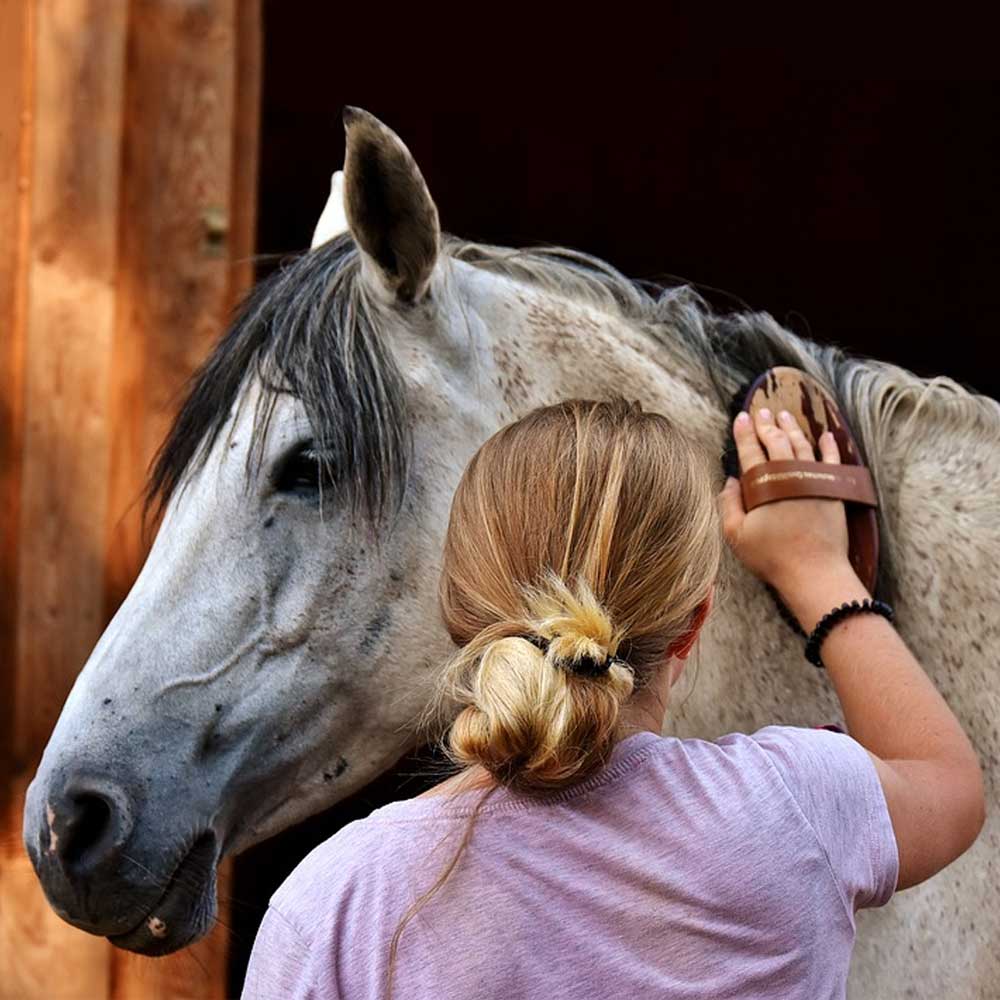 Platzhalerbild mit Brama West Logo