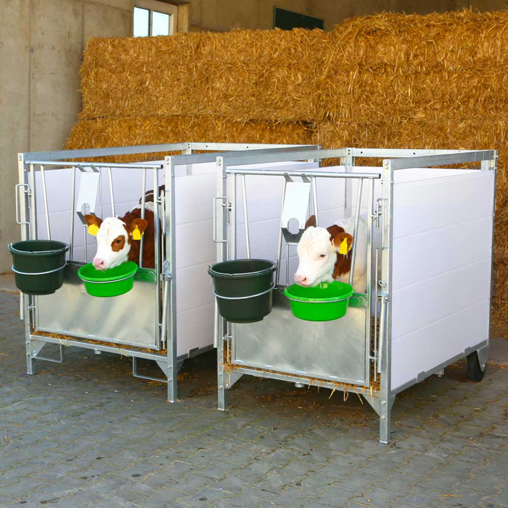 Kälberboxen / Kälberhütten
