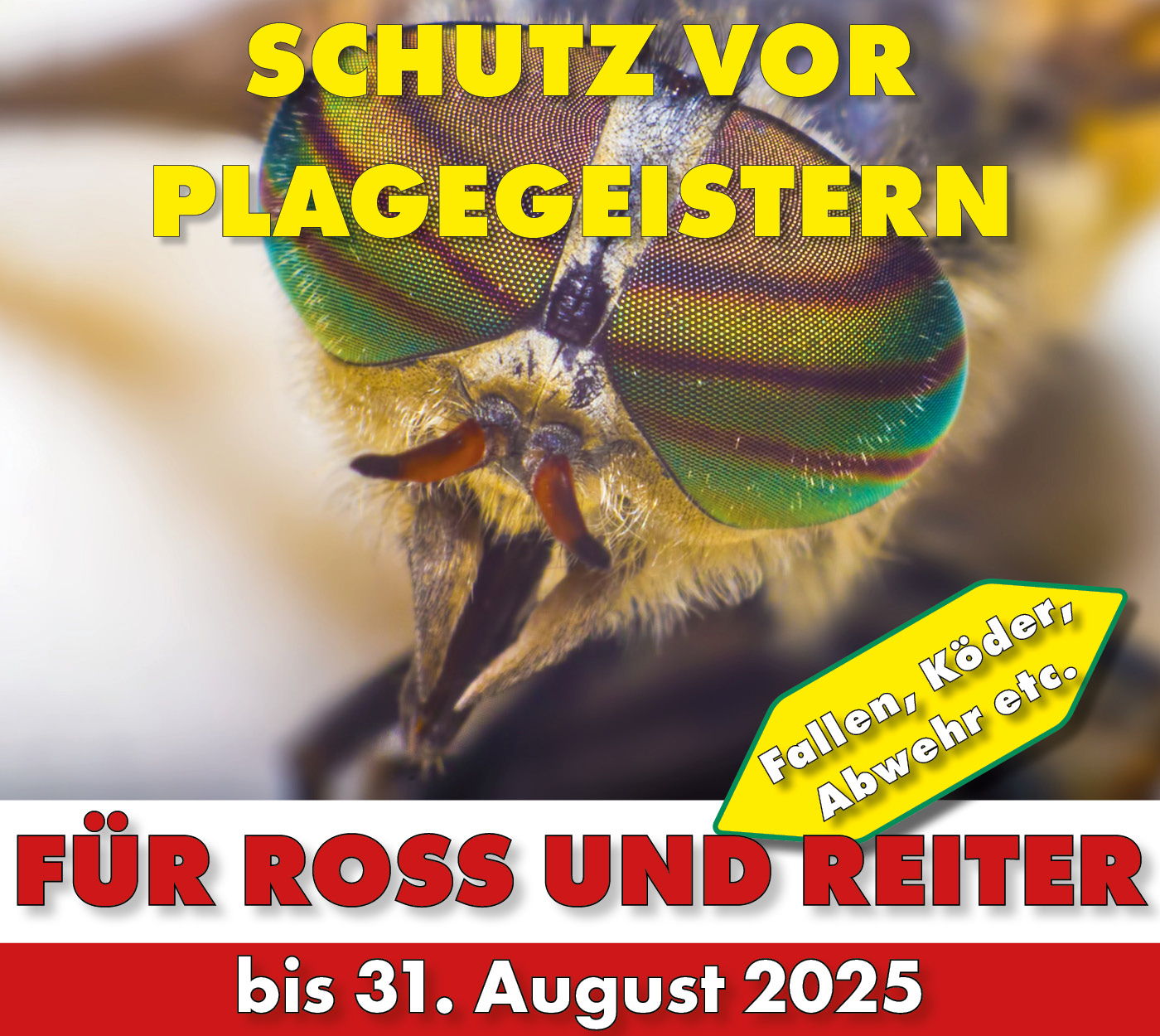 Bremsen Fliegen 2025