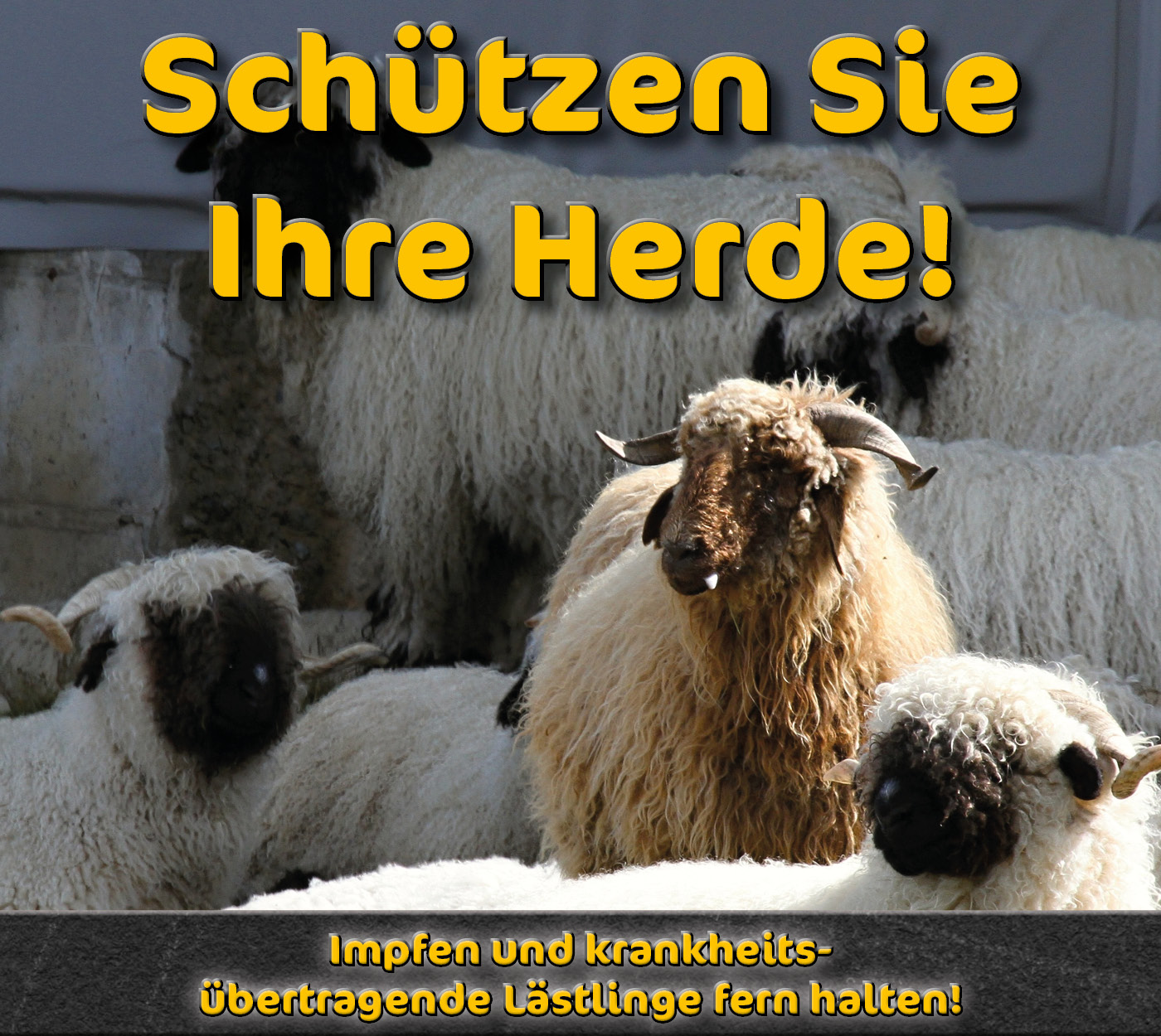 |default:Herdenschutz 2025|default:.NAME