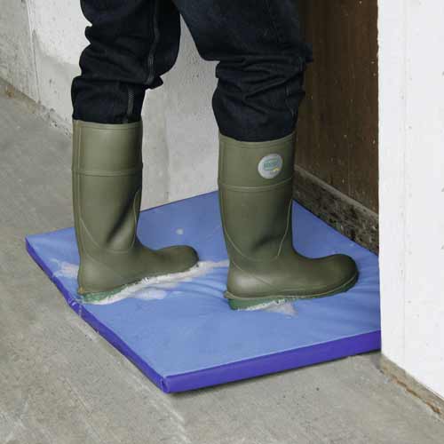 Gummistiefel auf Hygienematte vor Stalltür