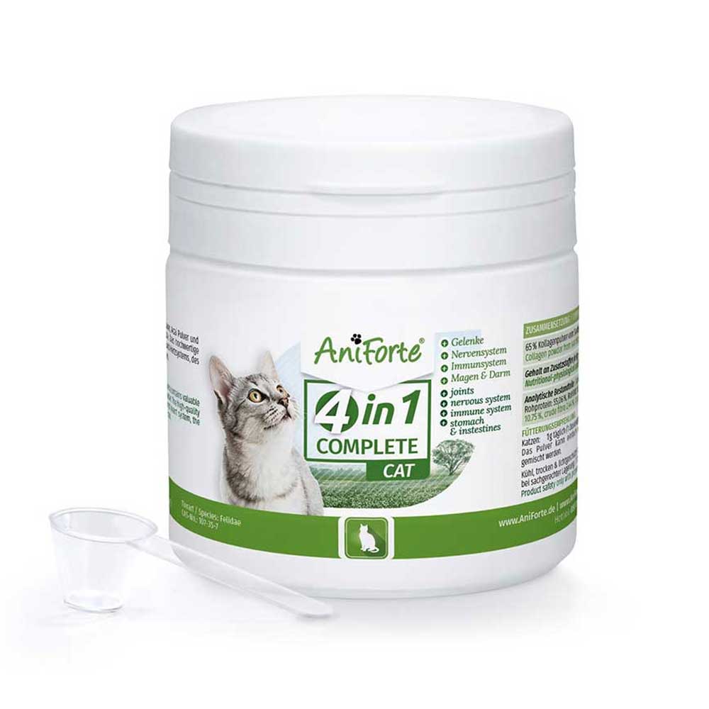 Alles rund um Katzen hier günstig im vom BramaWest