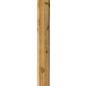 Preview: Octo Wood Streckenpfahl 200 cm x Ø 60 mm