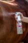 Preview: Bense & Eicke BrummerControl 500 ml