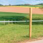 Preview: Robinienpfahl Kurvenpfosten 200cm Palettenware