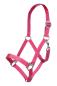 Preview: HKM Halfter „Stars Economy Softice“ – Rosa