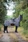 Preview: Fliegenausreitdecke Zebra