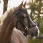 Preview: QHP Fliegenfransen