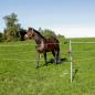 Preview: Turnier- / Paddock Set 7 x 7 m