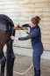 Preview: MagicBrush Pferde-Salzdusche Starterset