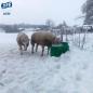 Preview: Frostschutzeimer TED01 Pony, Shetty und kleine Tiere