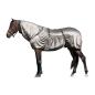 Preview: Ekzemerdecke