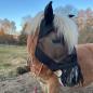 Preview: Fliegenmaske NoseGuard mit Ohrenschutz und Nasenfransen