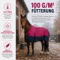 Preview: Winterdecke Caruso Turnout 1680D 100GSM - Raspberry/Navy