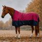Preview: Winterdecke Caruso Turnout 1680D 100GSM - Raspberry/Navy
