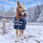 Preview: Winterdecke Nell - 1680D - 50g