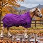 Preview: Outdoordecke Lila