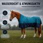 Preview: Winterdecke Oscar Turnout 1680D 50GSM - Petrol/Navy