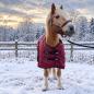 Preview: Winterdecke Red Winter - 1680D - 200g