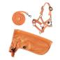 Preview: Hobby Horse Set - Summer - Halfter, Strick und Fliegendecke