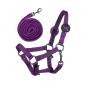 Preview: Hobby Horse Set - Lila Star - mit Hobby Horse – Fliegenhaube, Decke & Halfter mit Führstrick