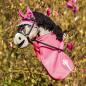 Preview: QHP Hobby Horse Set - Fleecedecke, Ohrhaube & Halfterset