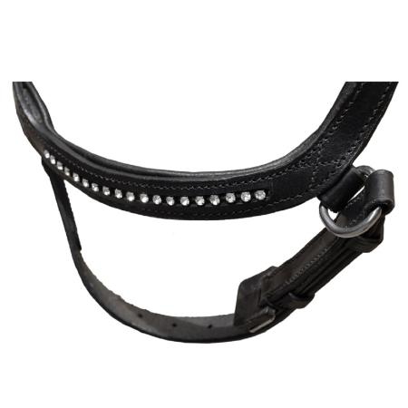 Trensenzaum Anatomic