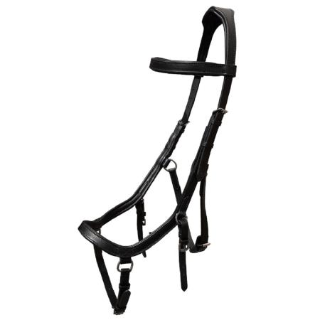 Trensenzaum Anatomic