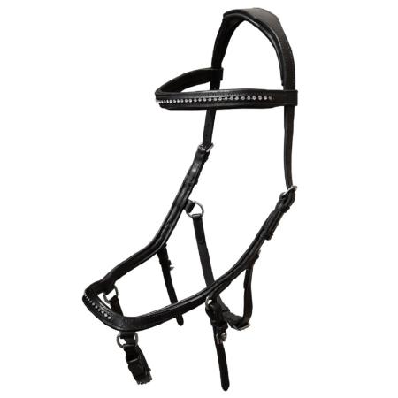 Trensenzaum Anatomic