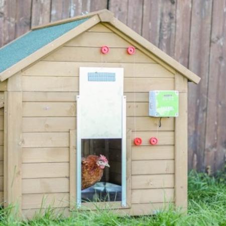 Automatische Hühnertür Set Komplettaufbau