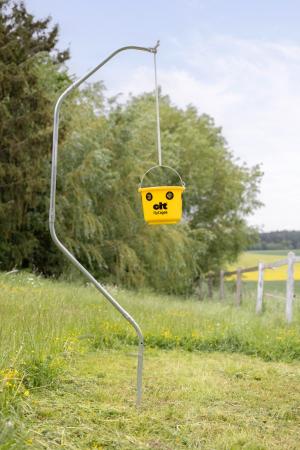 cit Fliegenfalle FlyCage