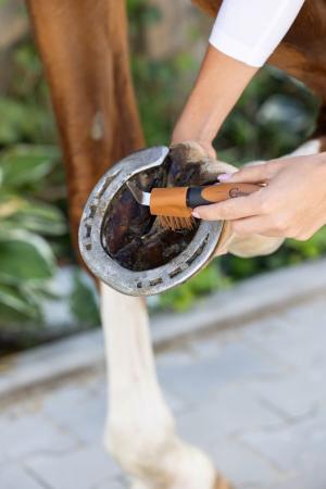 Covalliero Hufkratzer 2k