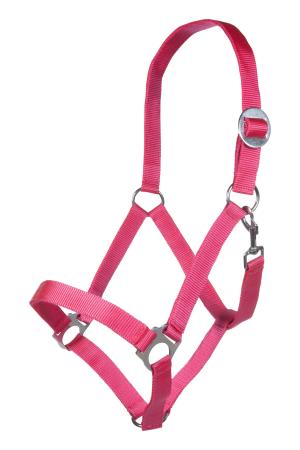HKM Halfter „Stars Economy Softice“ – Rosa