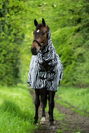Fliegendecke mit Halsteil Zebra mit Bauchlatz