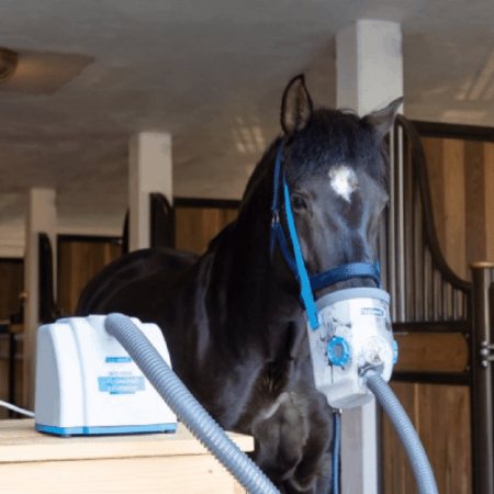Ultraschall-Inhalator für Pferde AirOne inkl. Inhalationsmaske Warmblut