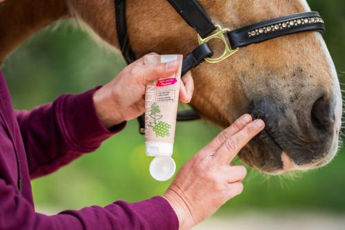 Bense & Eicke MaulFein 100 ml