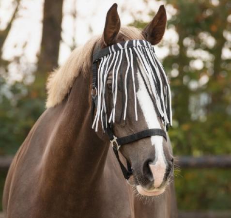 QHP Fliegenfransen Zebra