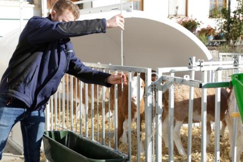 CalfHouse Premium XXL mit Umzäunung