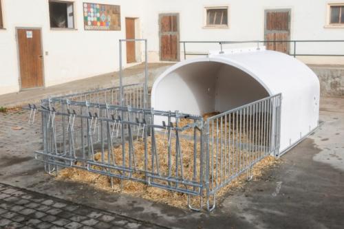 CalfHouse Premium XXL mit Umzäunung