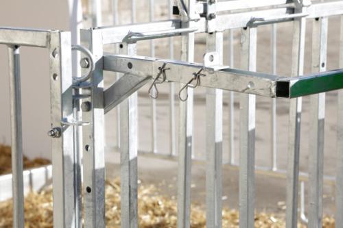 CalfHouse Premium XXL mit Umzäunung