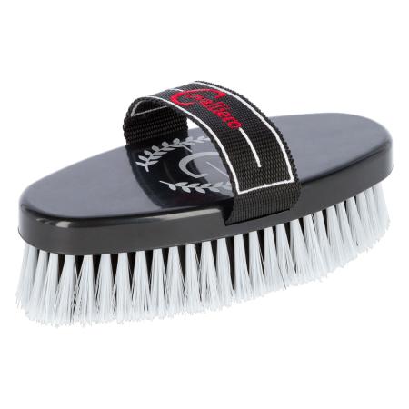 Putzset Horse Care