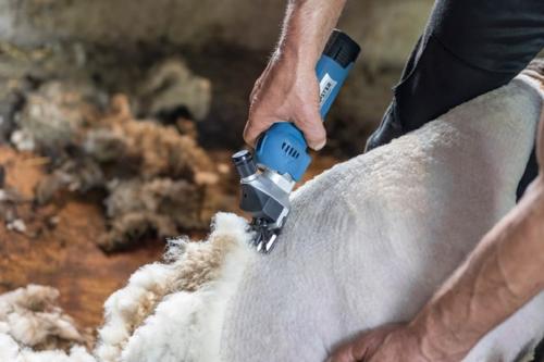 FarmClipper für Schafe Akku2