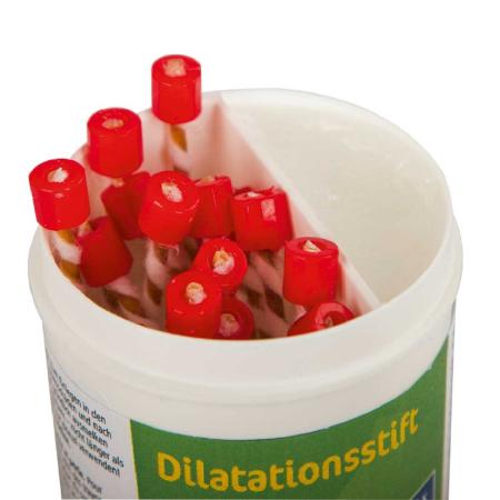 Dilatationsstift