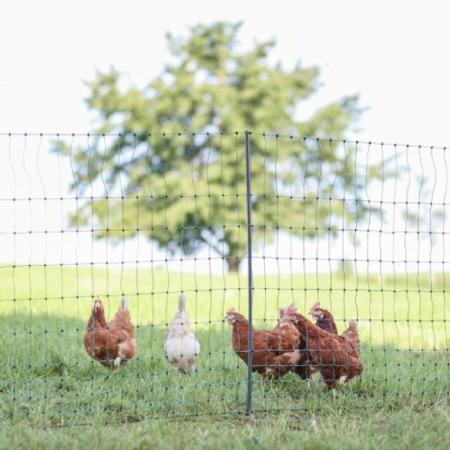 Premium Geflügelnetz nicht elektrifizierbar