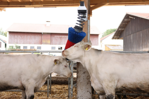 Kratzbürste HAPPYCOW FlexiSwing