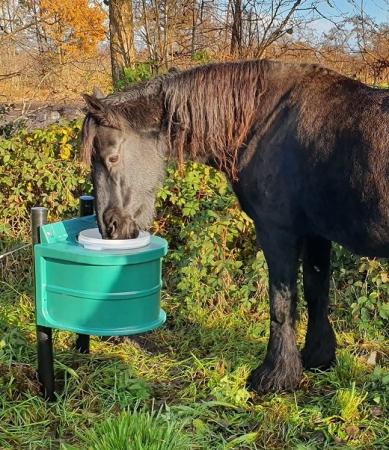 Frostschutzeimer TED01 Pony, Shetty und kleine Tiere
